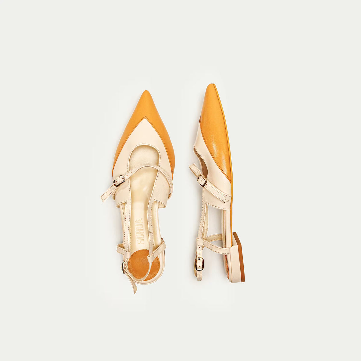 Apricot