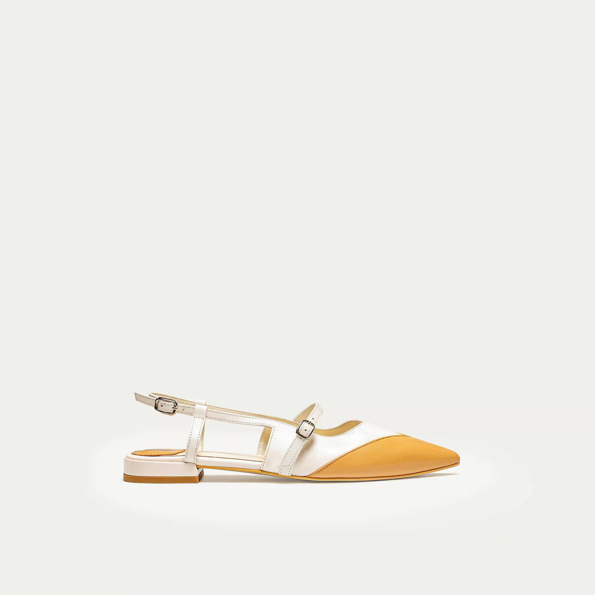 Apricot
